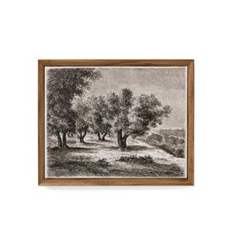 Framed canvas Print - Olive Trees
