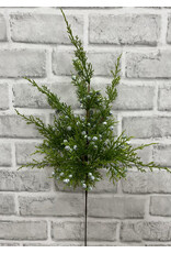 Tri W Imports Juniper Berry Spray - 18"