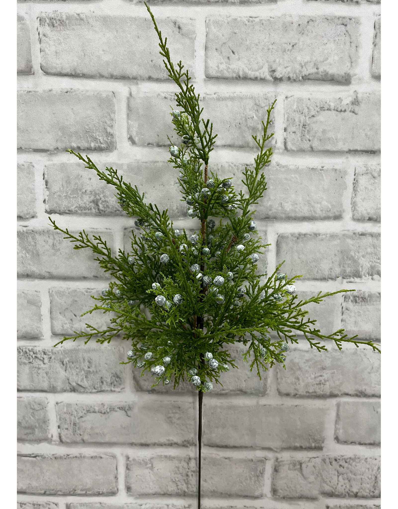 Tri W Imports Juniper Berry Spray - 18"