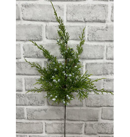 Tri W Imports Juniper Berry Spray - 18"