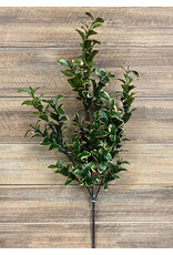 Tri W Imports Golden Euonymus Spray - 26"