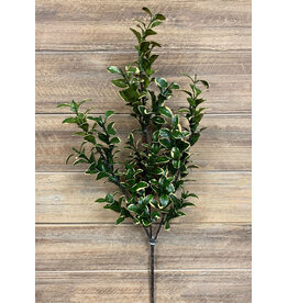 Tri W Imports Golden Euonymus Spray - 26"