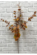 Tri W Imports Fall Eucalyptus Spray - 38"