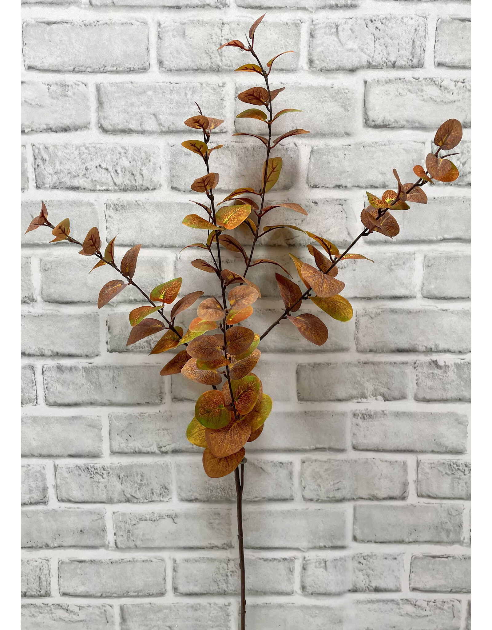 Tri W Imports Fall Eucalyptus Spray - 38"