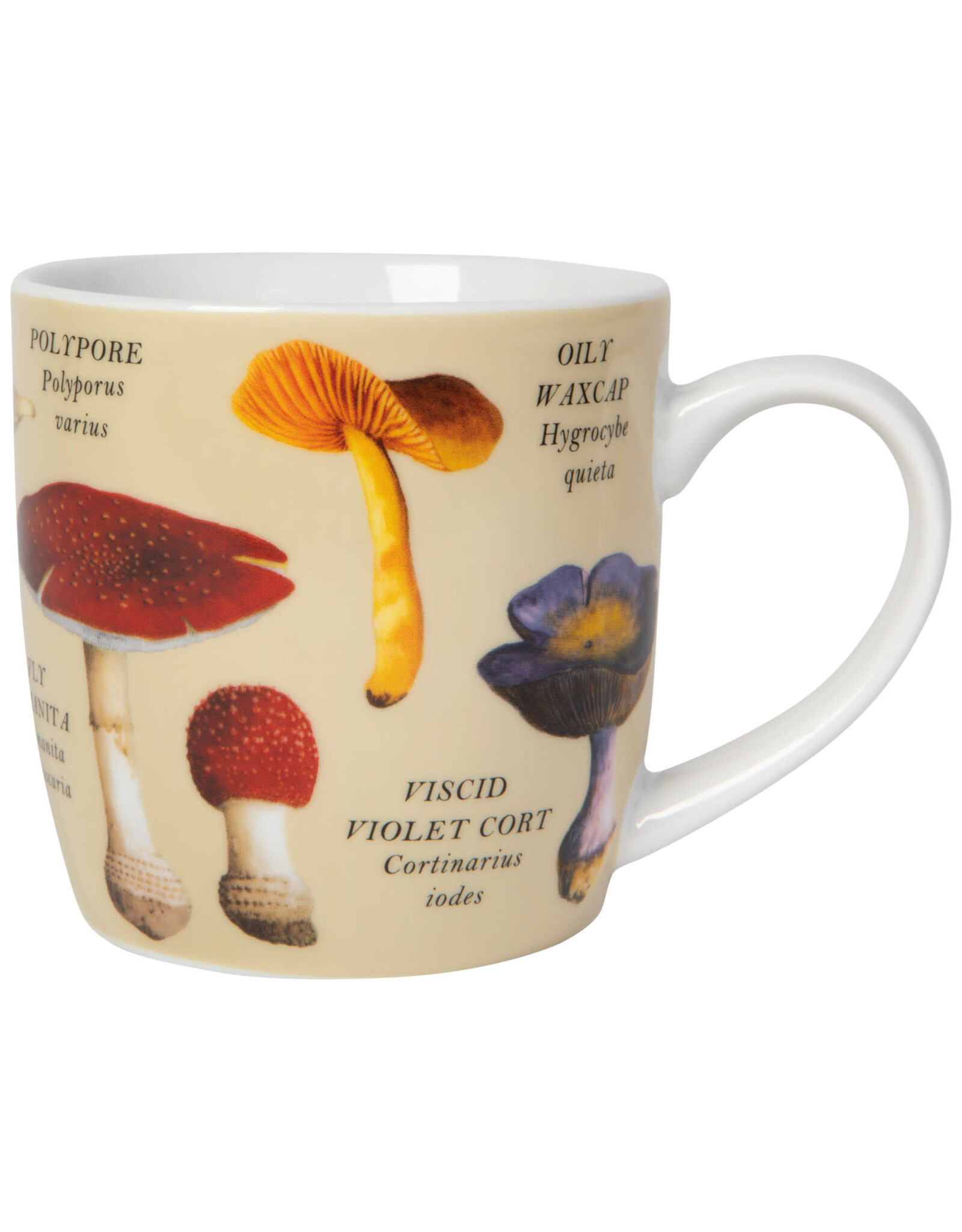 Mushrooms 12 oz Mug