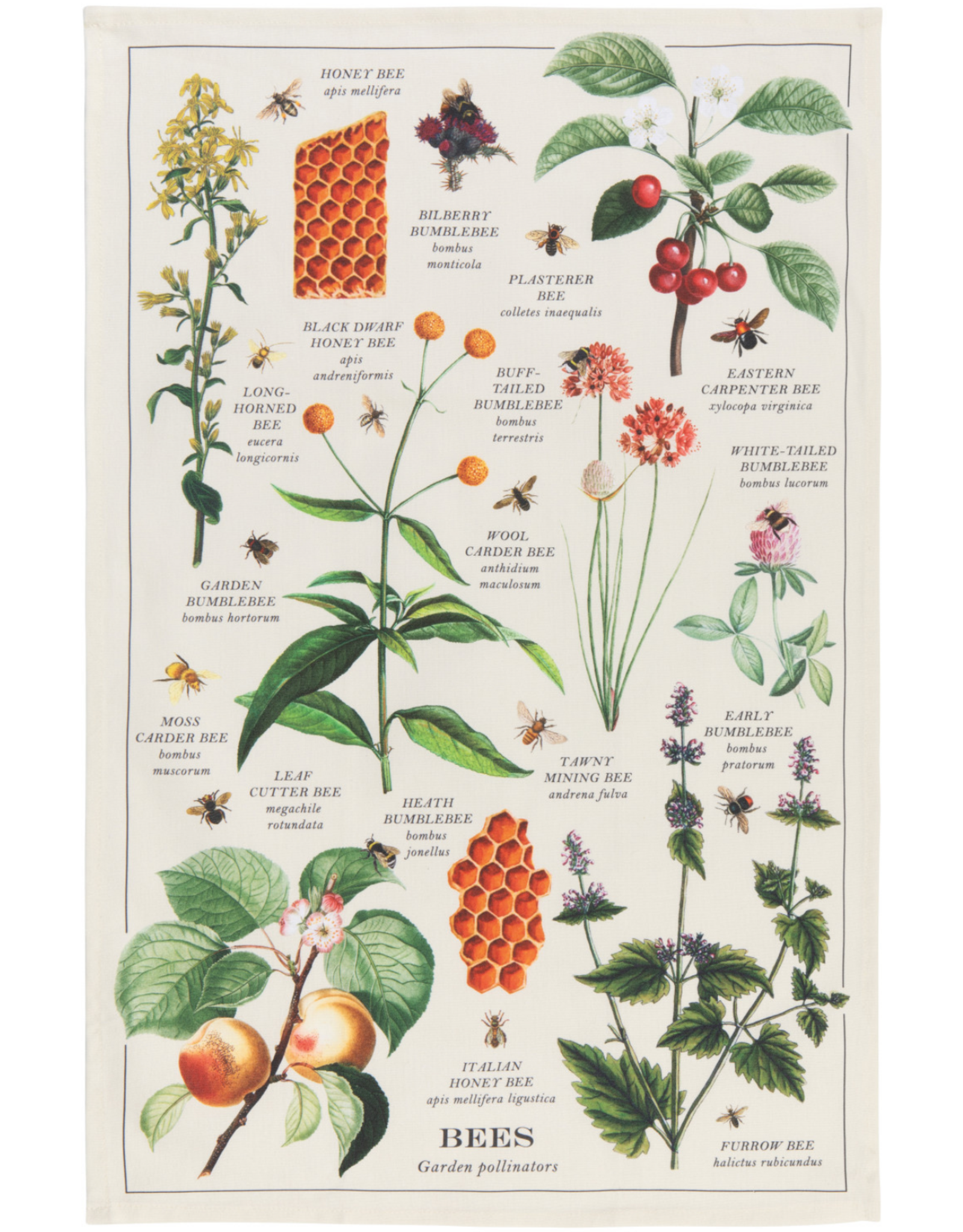 Bee Varieties Dishtowel