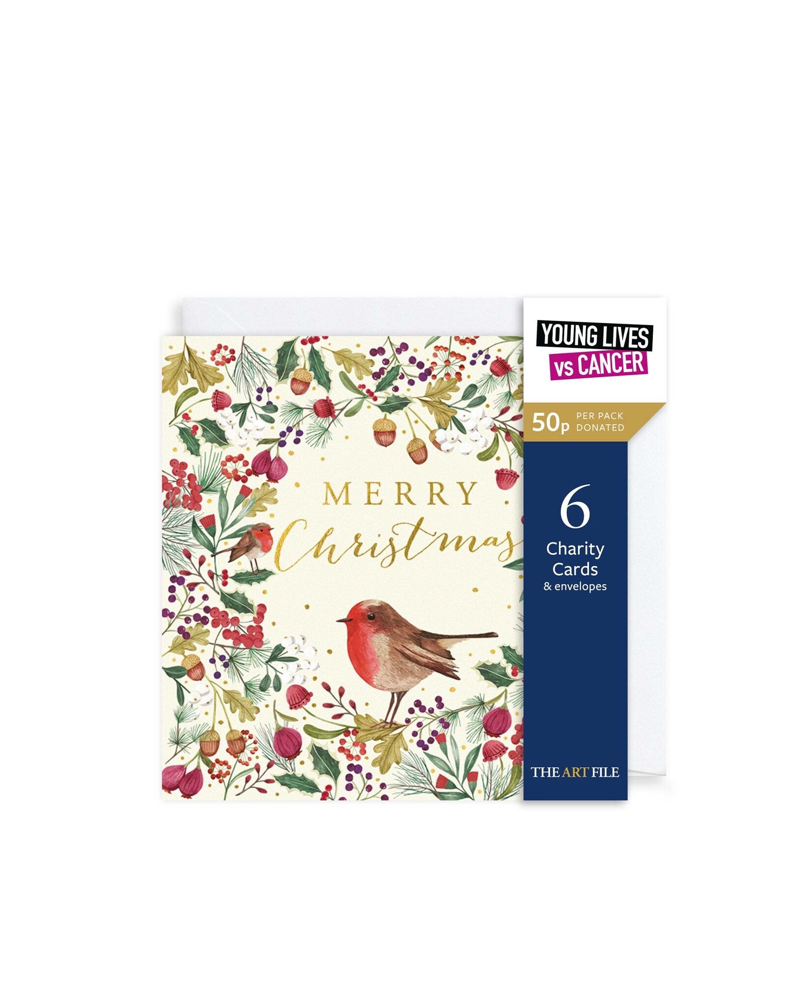 Boxed Cards - Festive Robin - box of 6