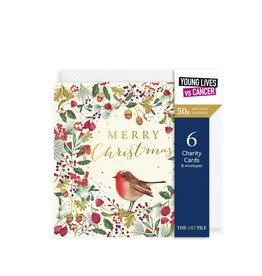 Boxed Cards - Festive Robin - box of 6