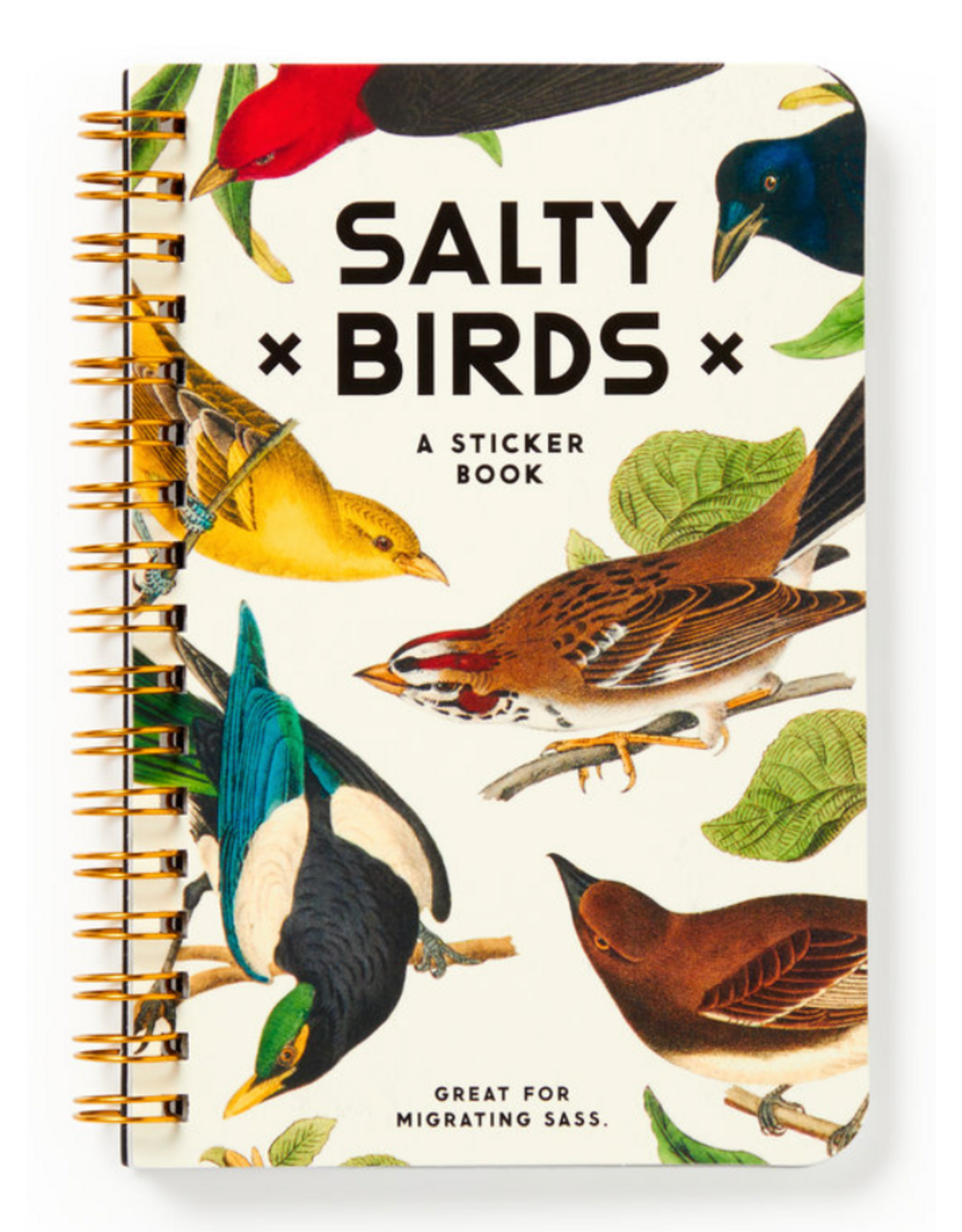 Salty Birds Sticker Book