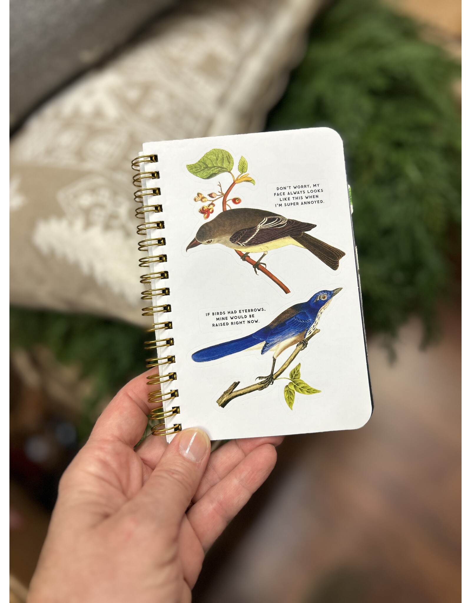 Salty Birds Sticker Book