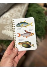Judgy Fish Sticker Book