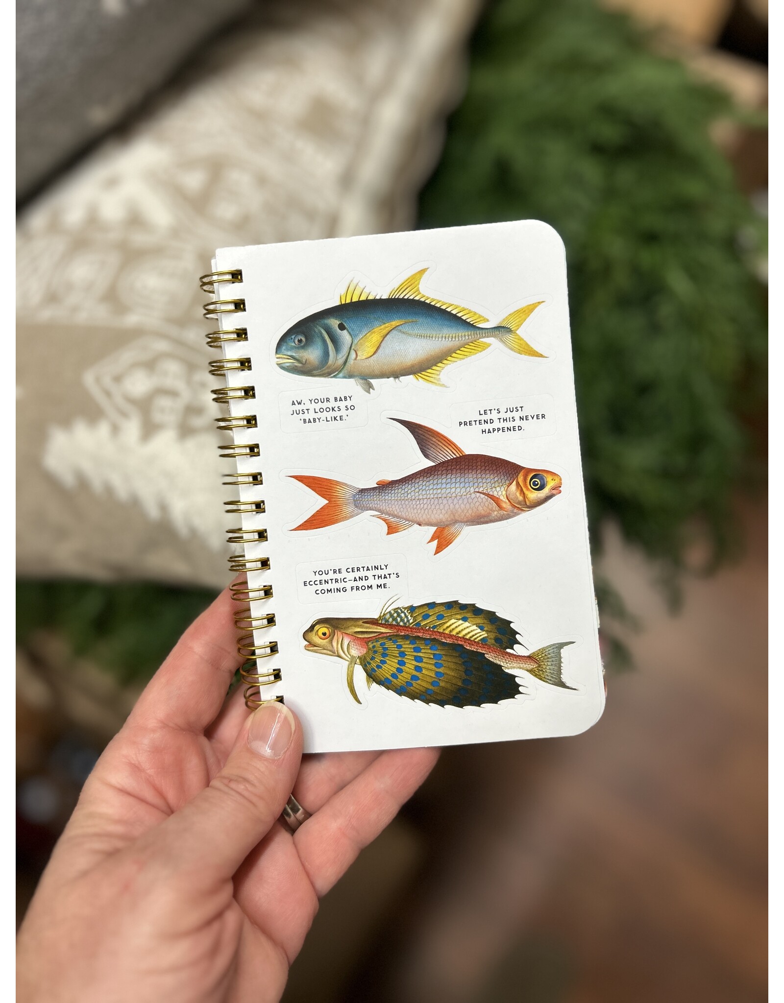 Judgy Fish Sticker Book