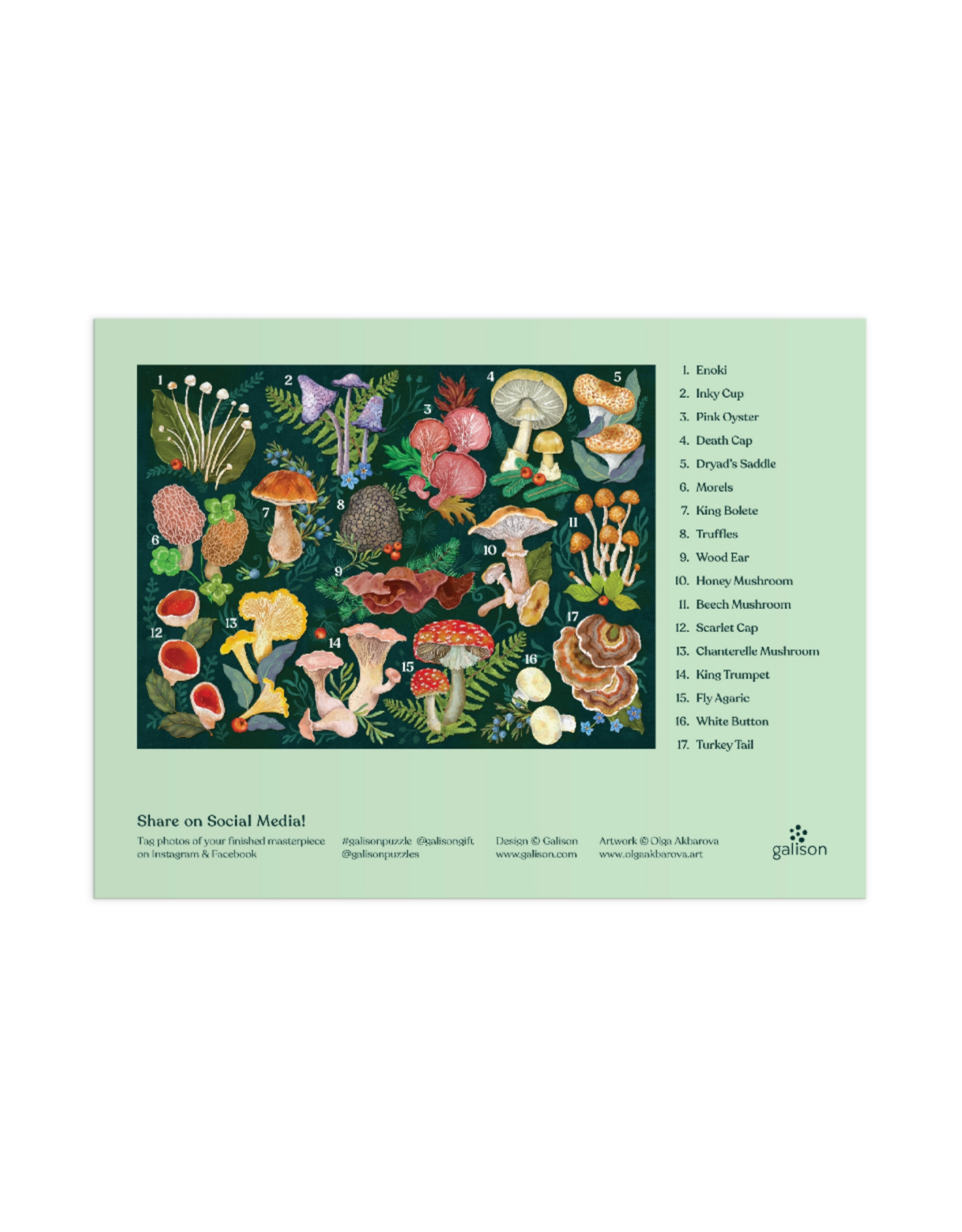 World of Mushrooms 1000 Piece Puzzle