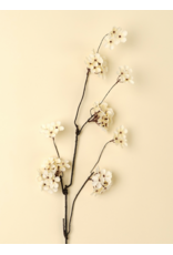 Pear Blossom Branch
