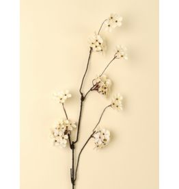 Pear Blossom Branch
