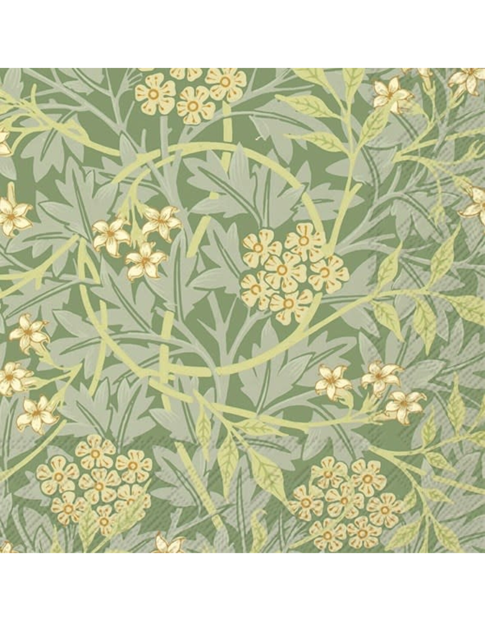 Jasmine Paper Cocktail Napkins - Green