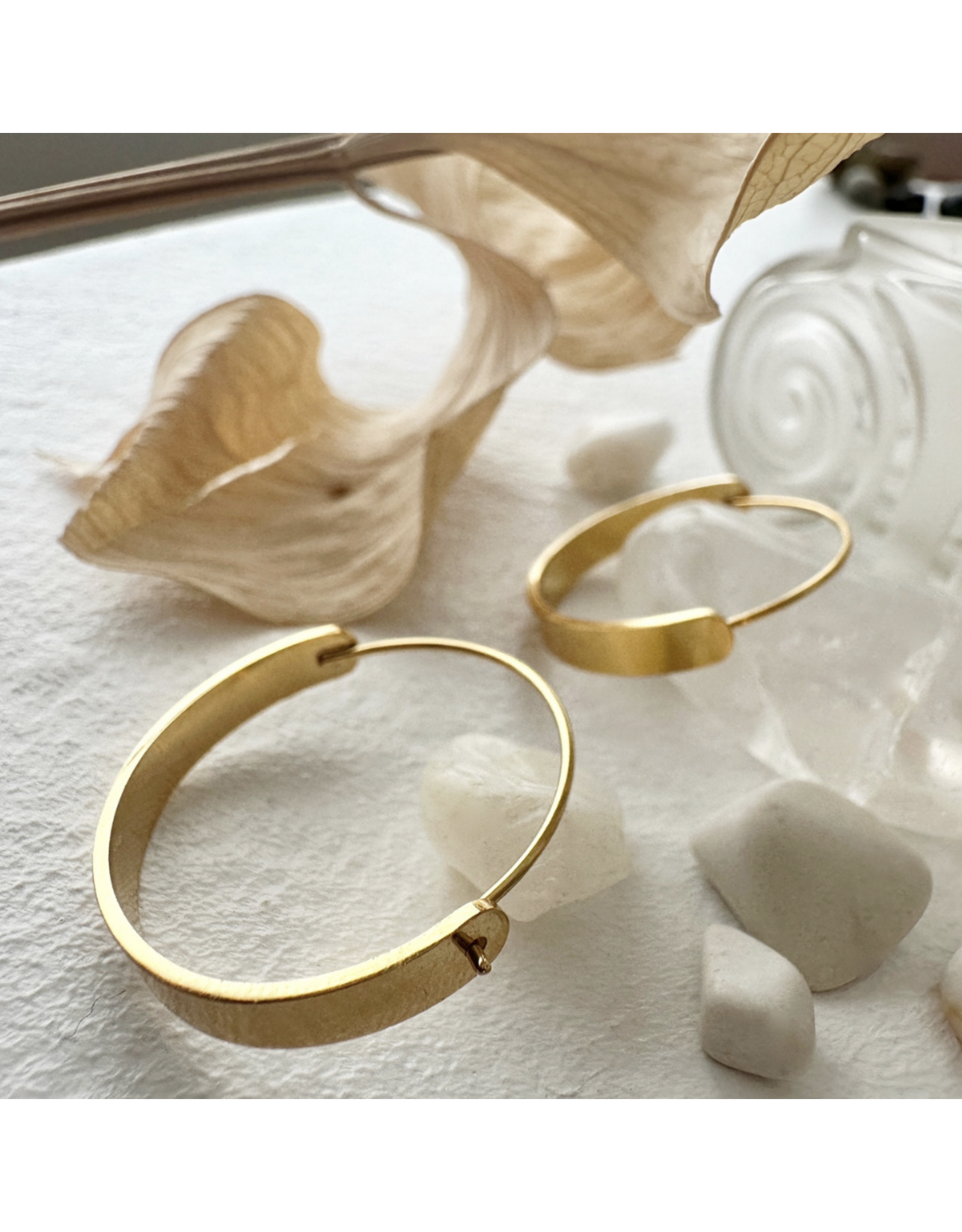 Pika & Bear Torus Contemporary Hoop Earrings