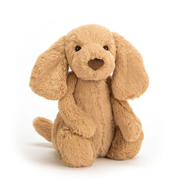 Bashful Toffee Puppy