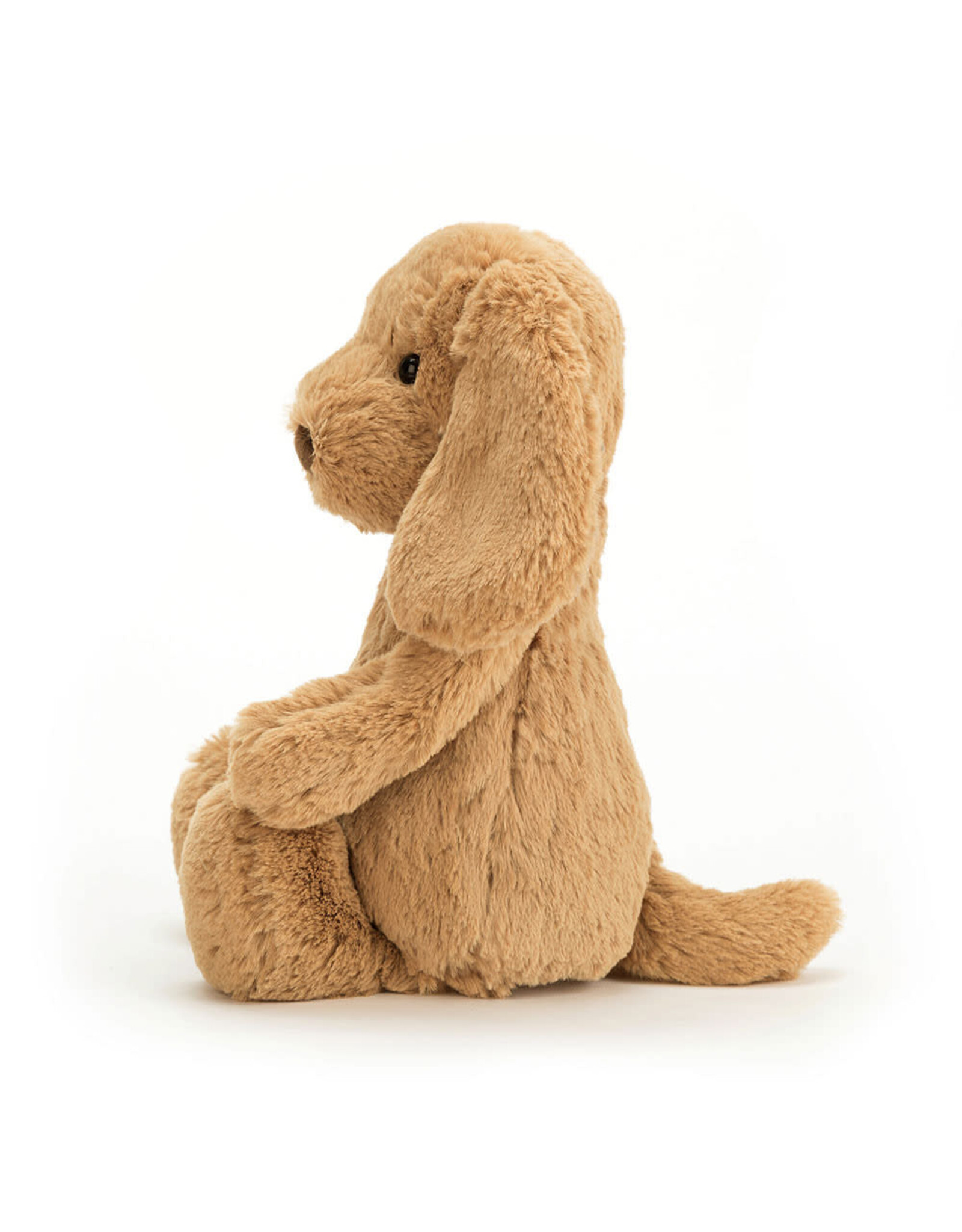 Bashful Toffee Puppy