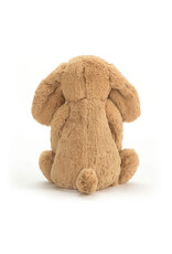 Bashful Toffee Puppy