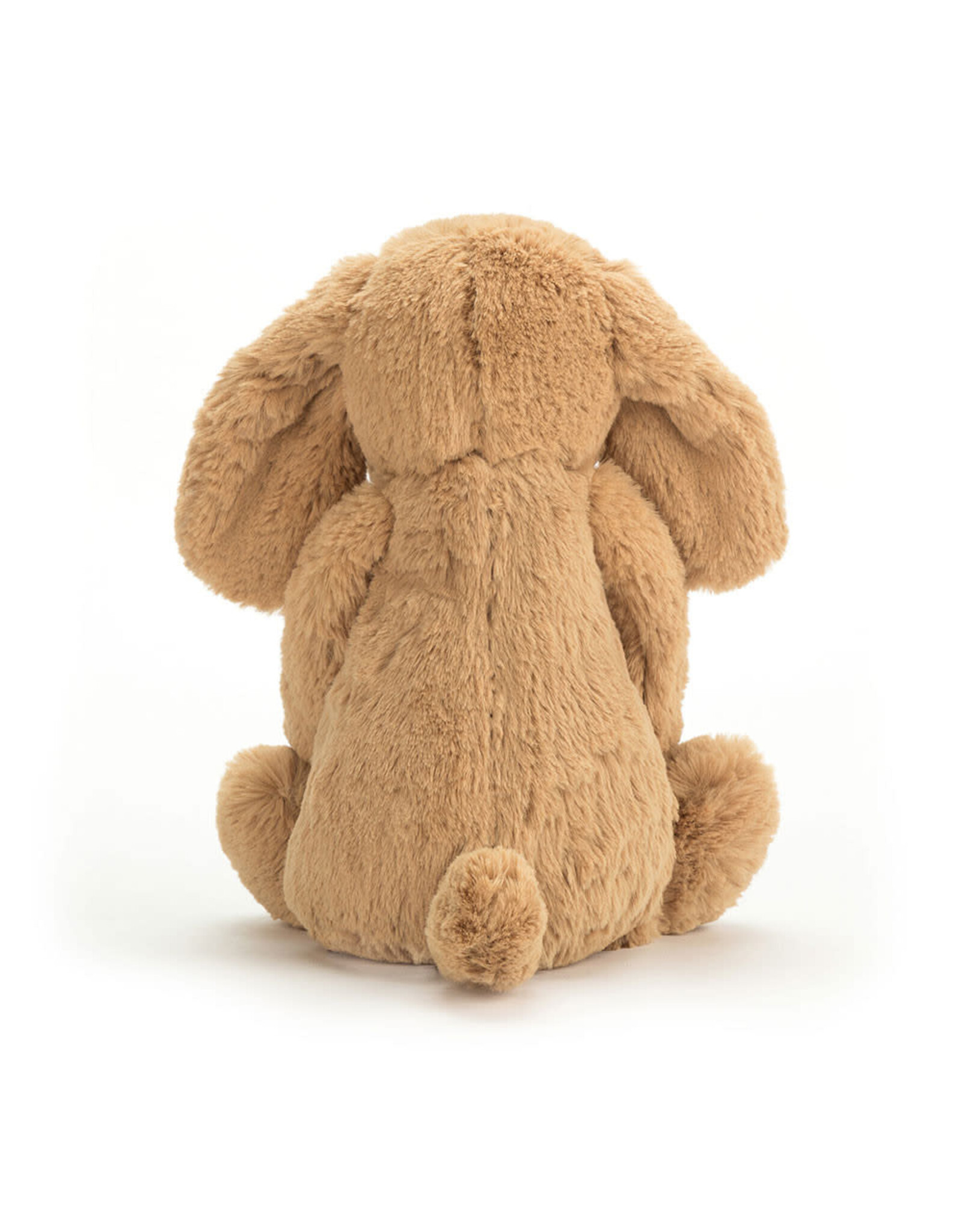 Bashful Toffee Puppy