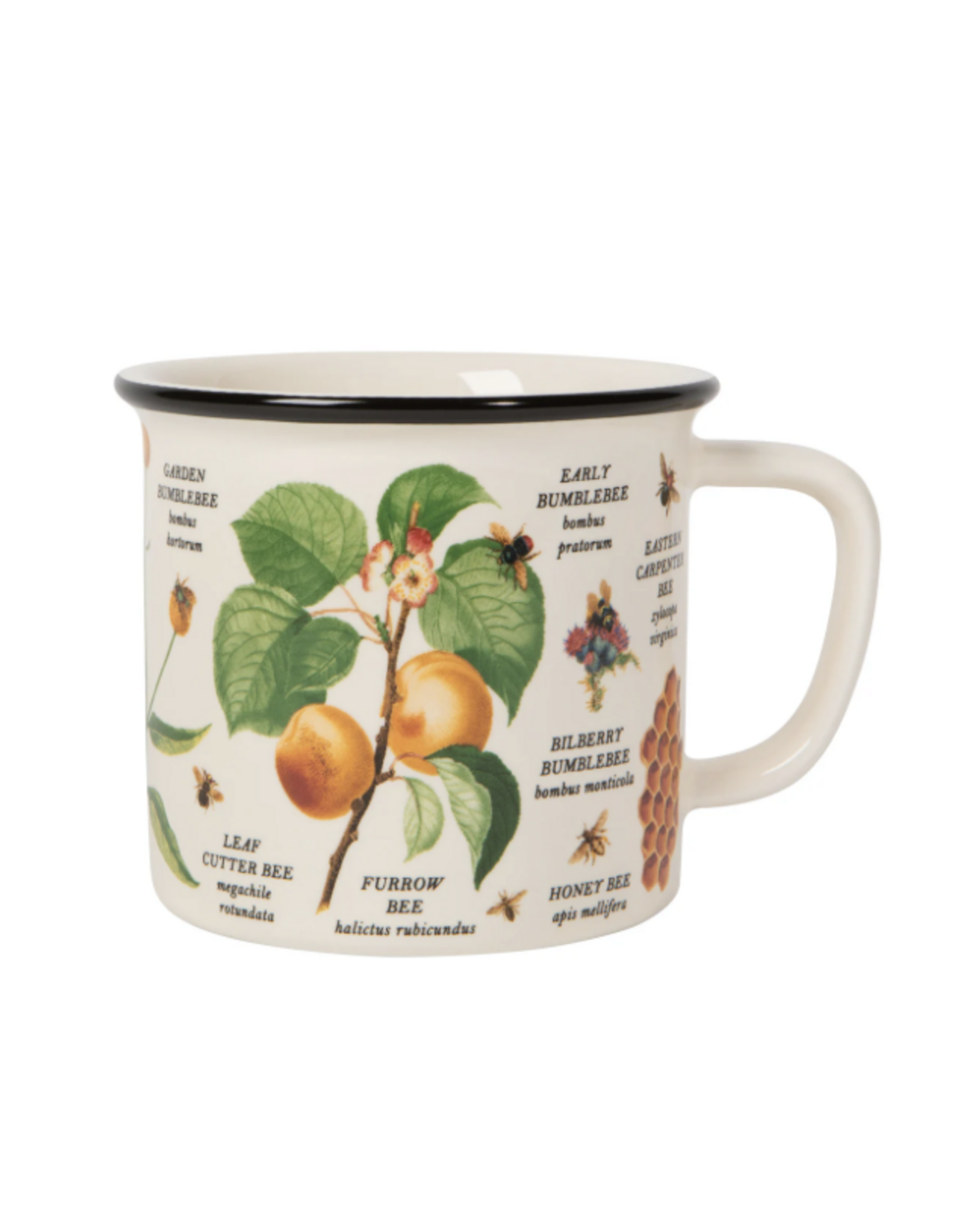 Bee Varieties Heritage Mug