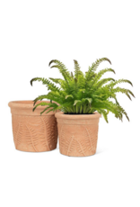 Fern Roll Rim Planter