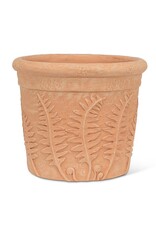 Fern Roll Rim Planter