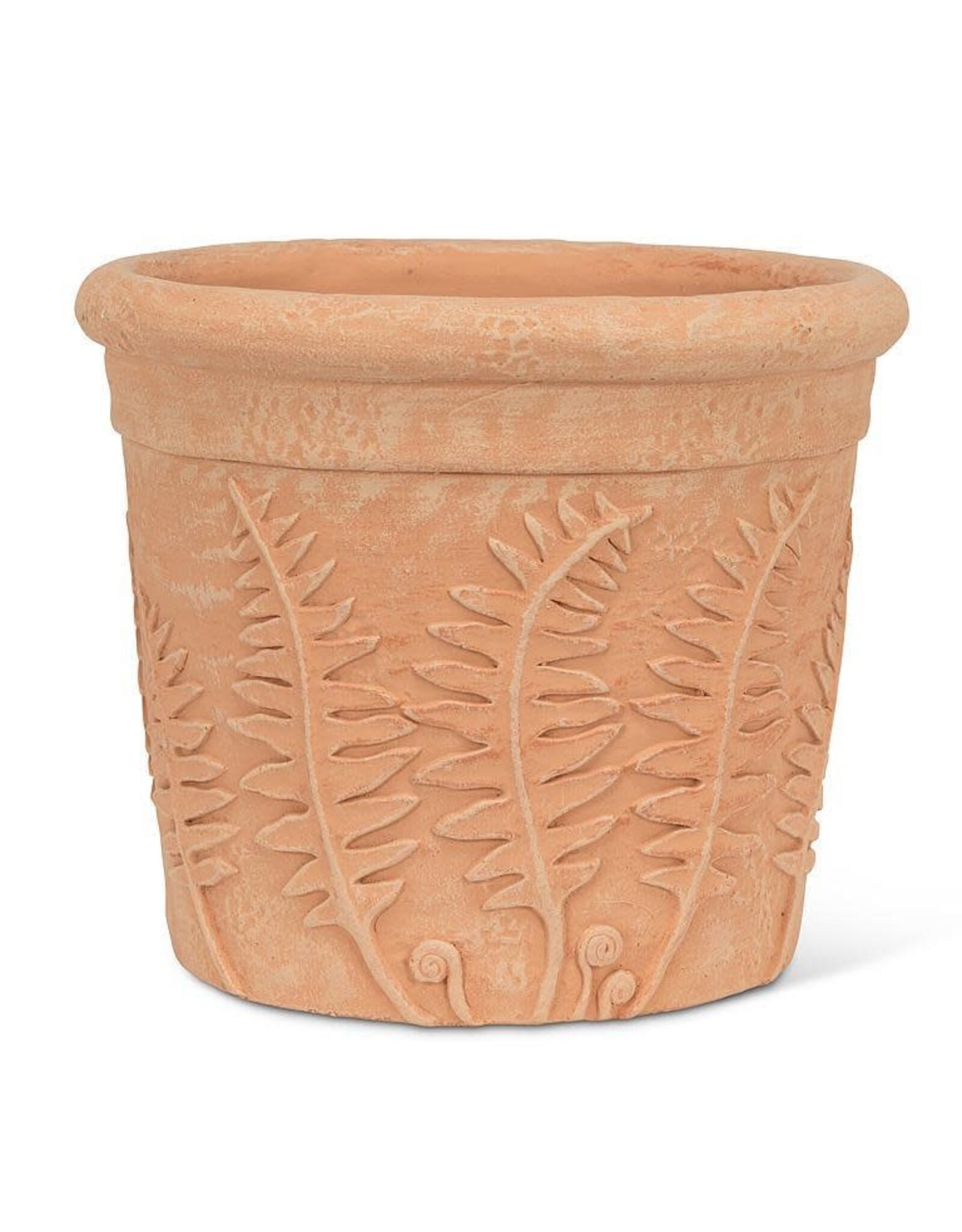 Fern Roll Rim Planter