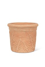 Fern Roll Rim Planter