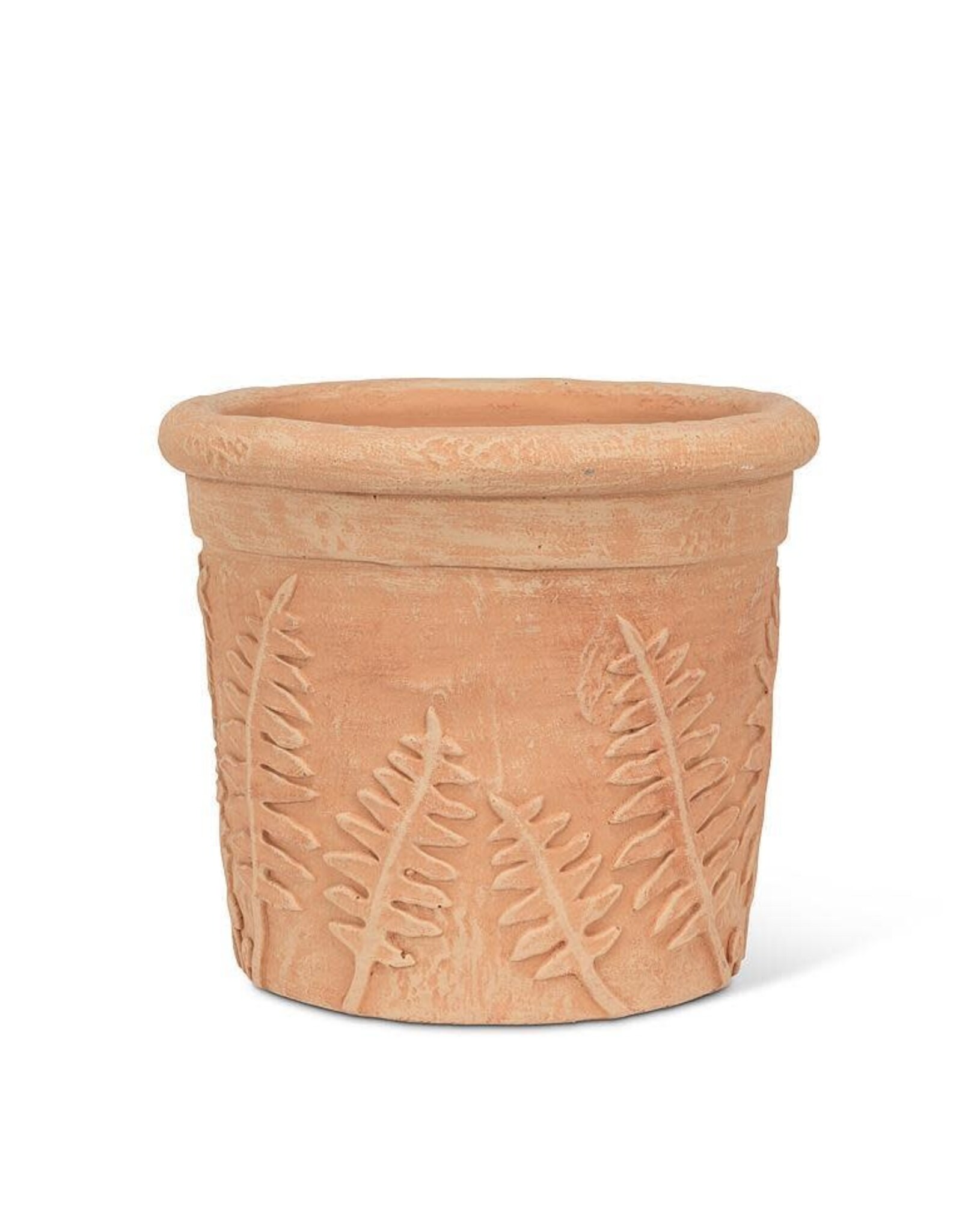 Fern Roll Rim Planter