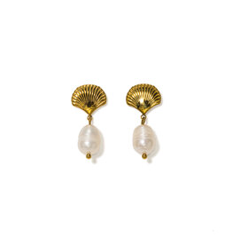 Shell & Pearl Drop Earrings - Gold