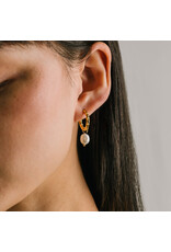 Venus Pearl Drop Hoop Earrings - Gold
