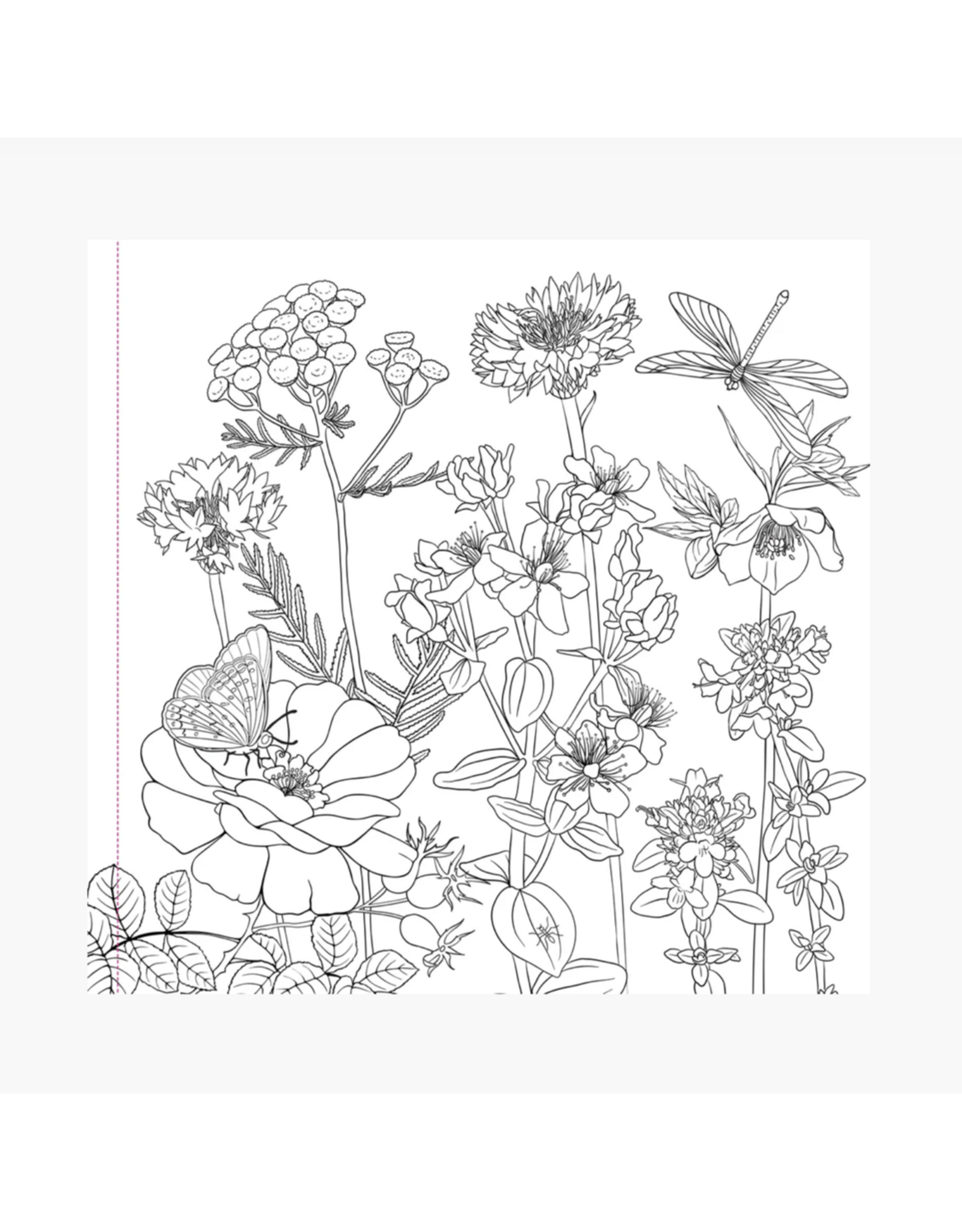 Wildflowers Colouring Book