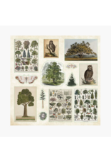 Enchanted Forest Sticker Book
