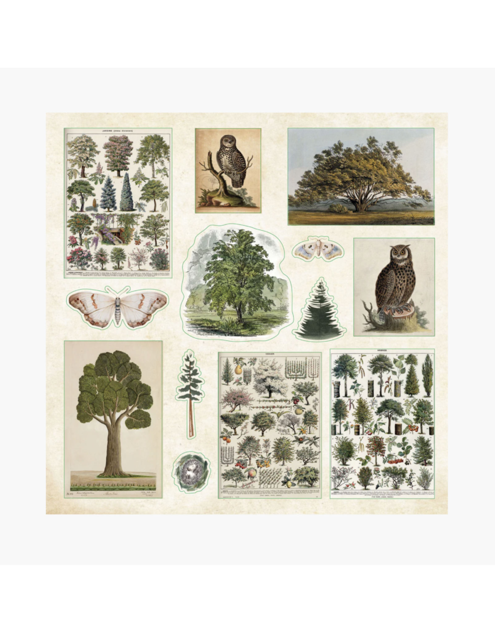 Enchanted Forest Sticker Book