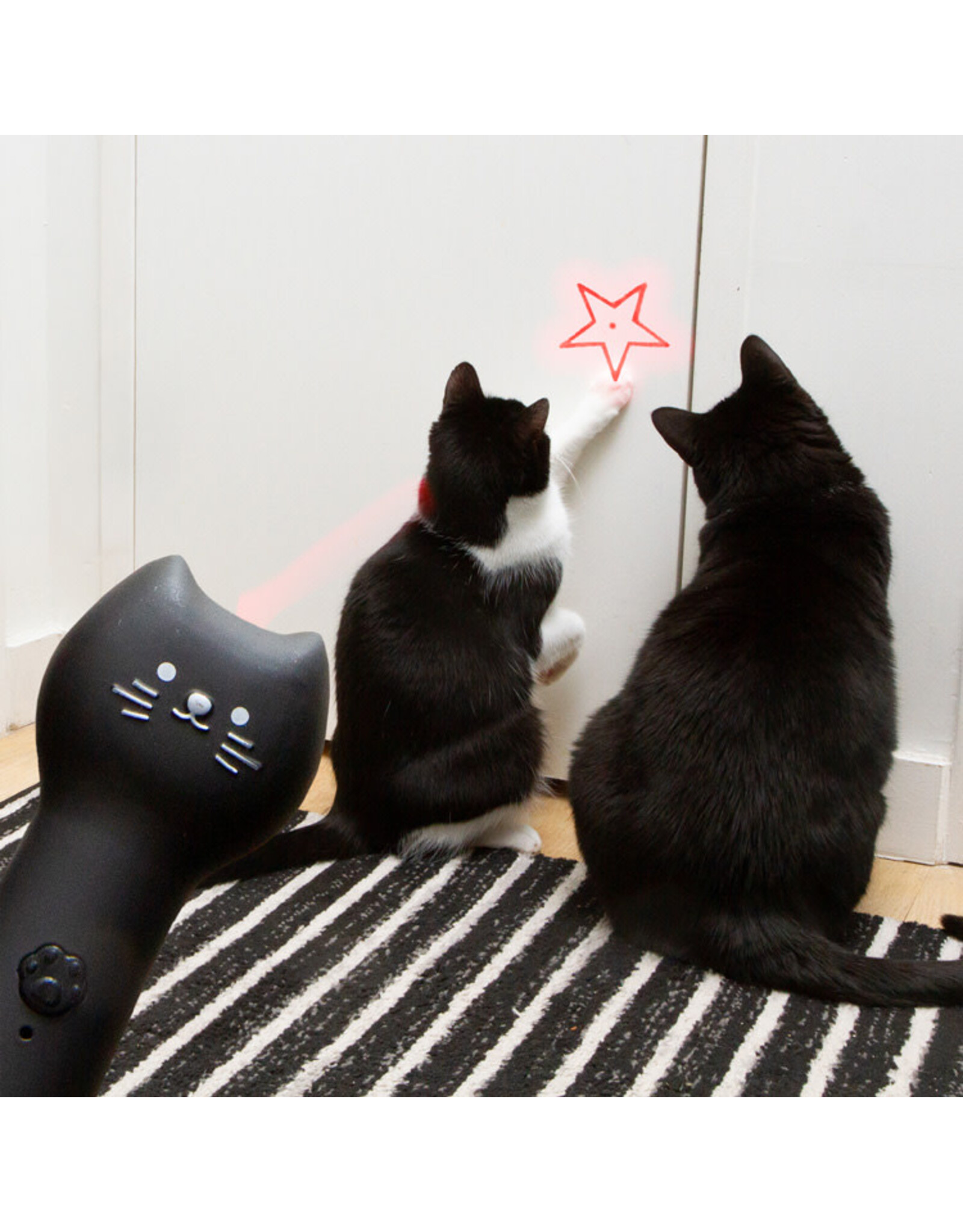 Rechargeable Pounce And Play Laser