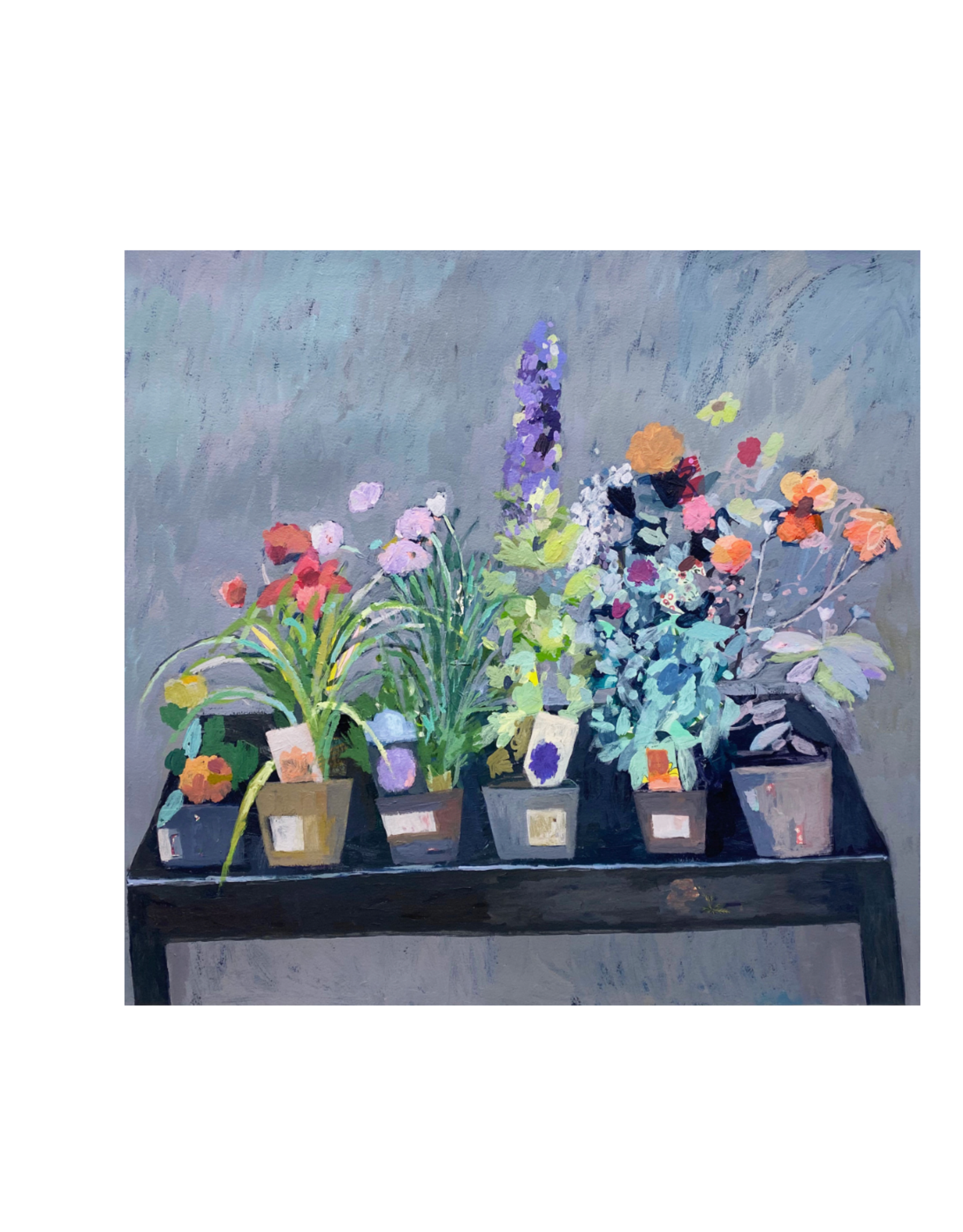 Just Because - Common Beauties