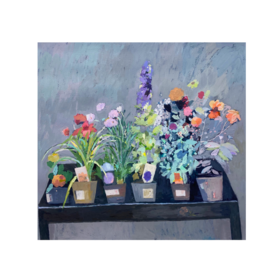 Just Because - Common Beauties