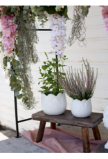 White Tulip Planter Pot - SM