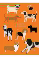 Birthday - Happy Birthday Dogs