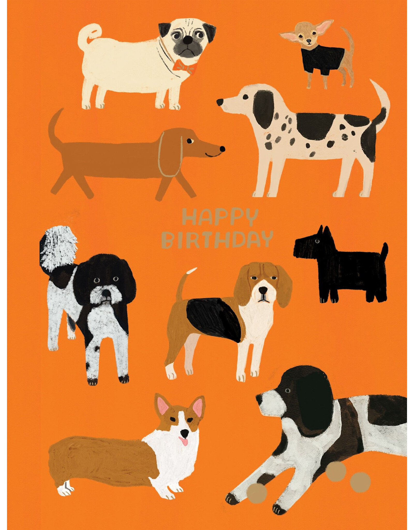 Birthday - Happy Birthday Dogs