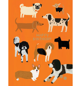 Birthday - Happy Birthday Dogs