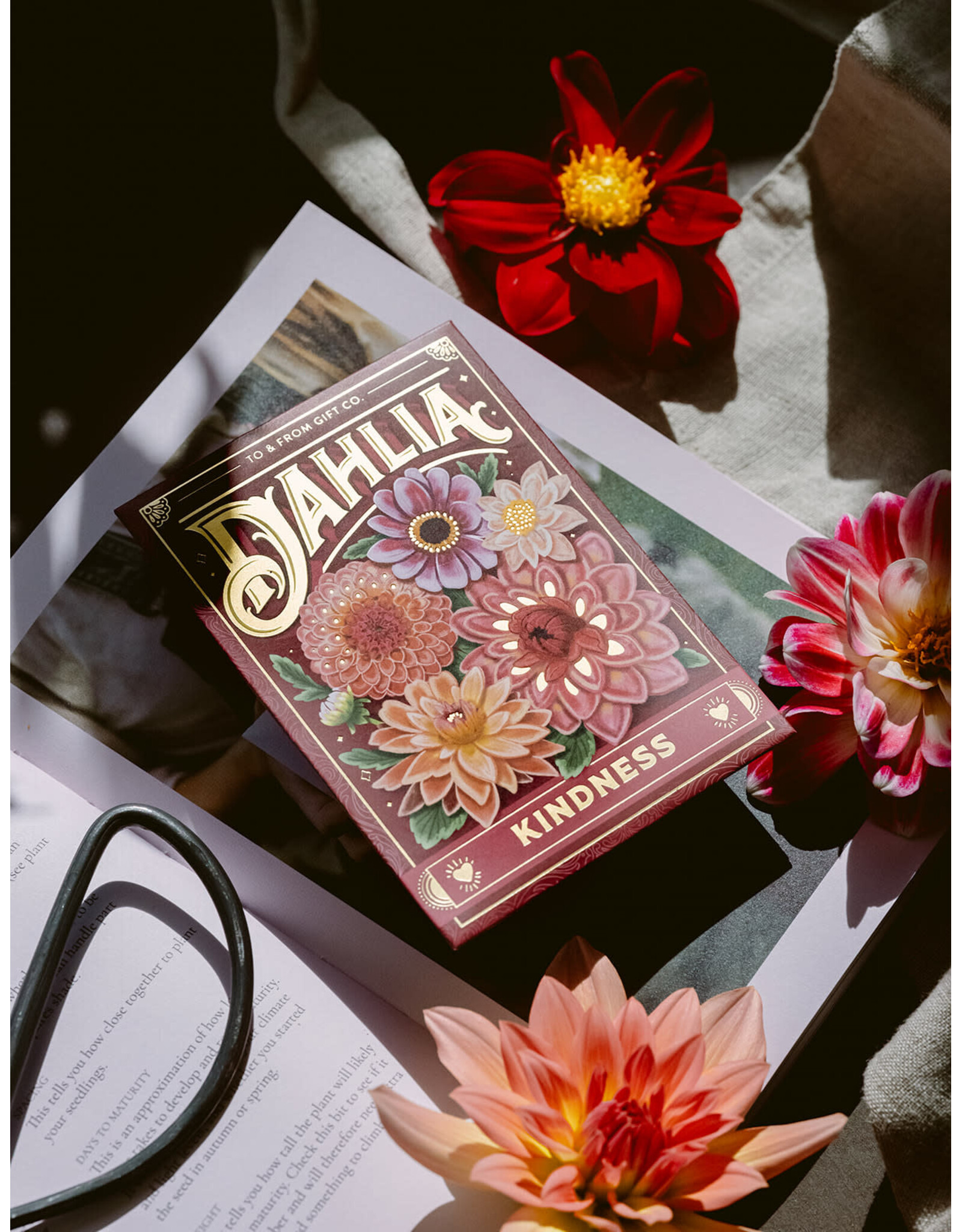 To & From Gift Co. Floriography Seed Packet -