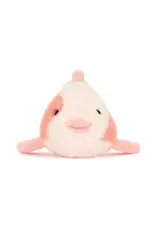 Fancy Carp