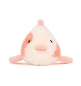 Fancy Carp