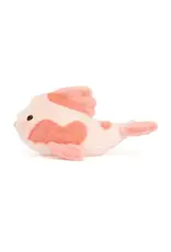Fancy Carp