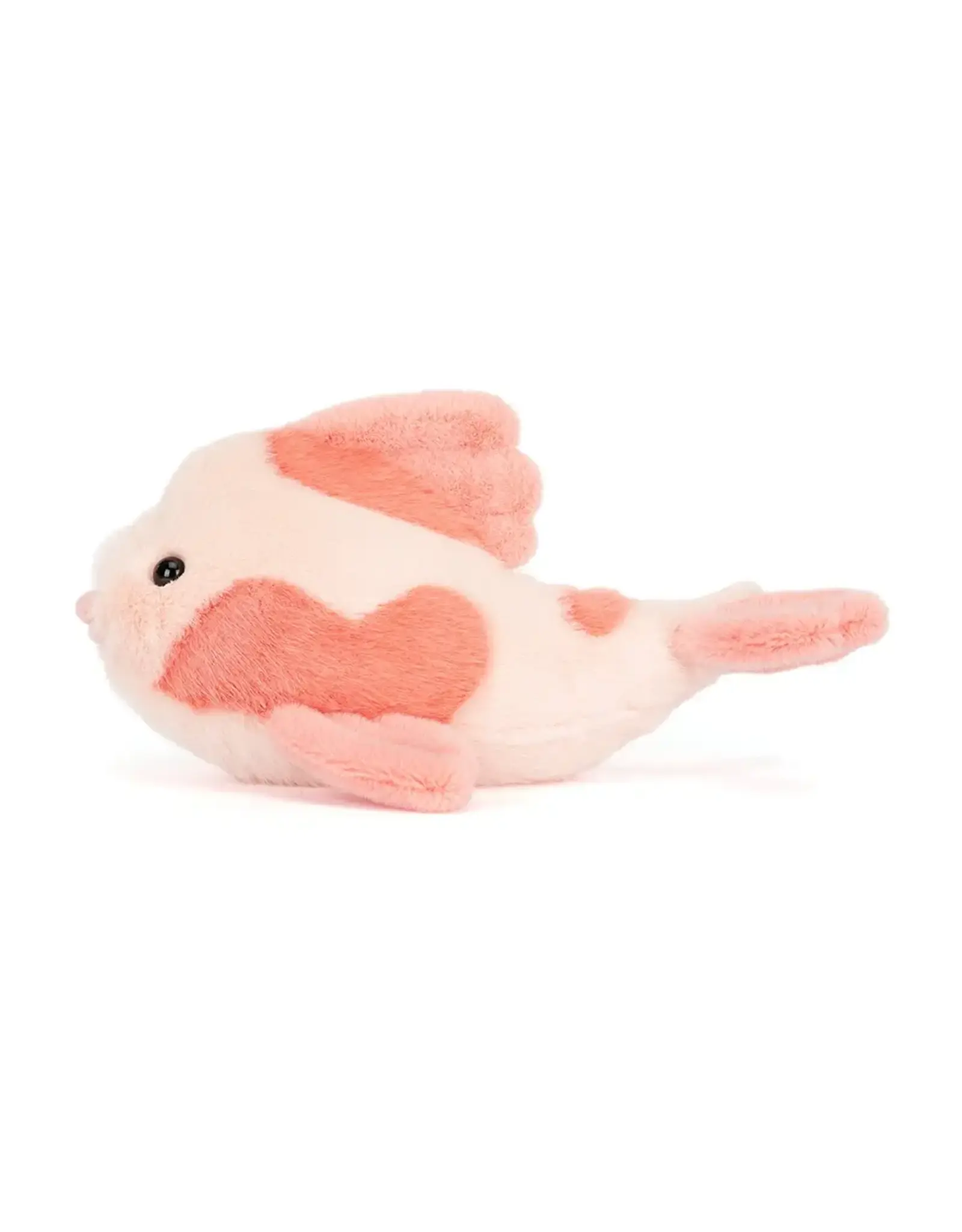 Fancy Carp