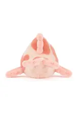 Fancy Carp