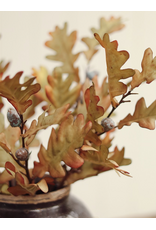Oak Leaf Spray